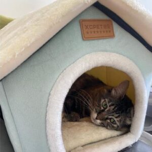 Casinha Casa Cama Pet - Imagem 7